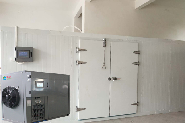 新疆英吉沙縣：黑木耳種出致富路，烘干技術有保障